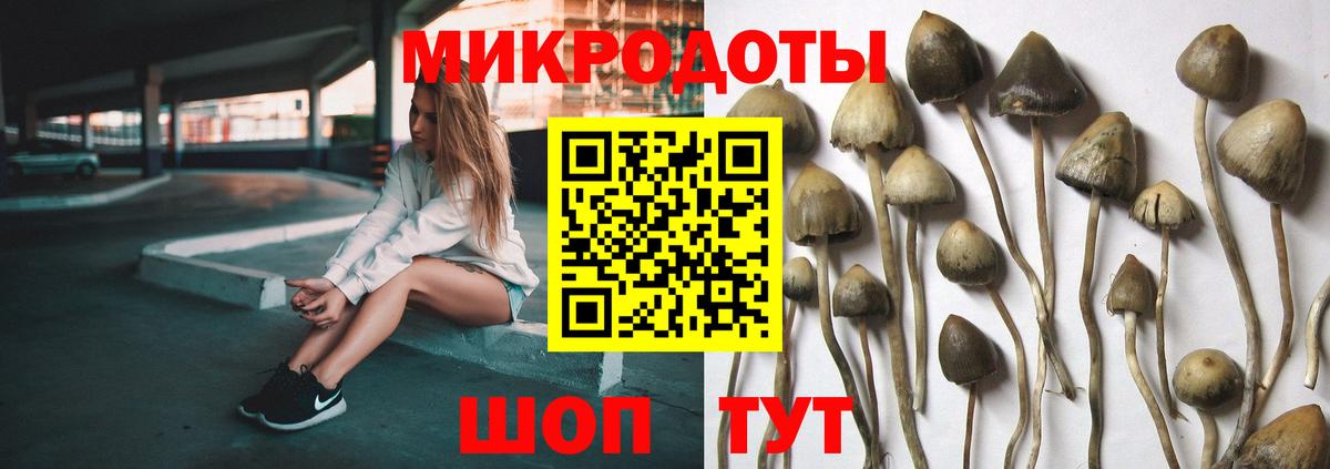 Камышлов  Псилоцибиновые грибы Psilocybine cubensis  Вход с VPN 