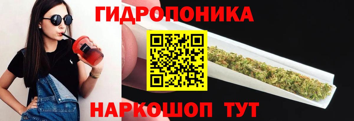 Канабис Камышлов